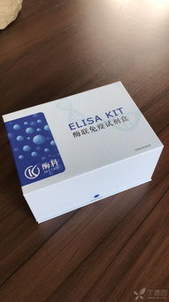 如何選擇優質的ELISA試劑盒與試劑耗材 實用指南